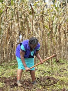 Timely SMS alerts help Euphrasia protect her crops and make the most of every planting season.