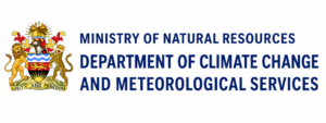 DCCMS Malawi logo